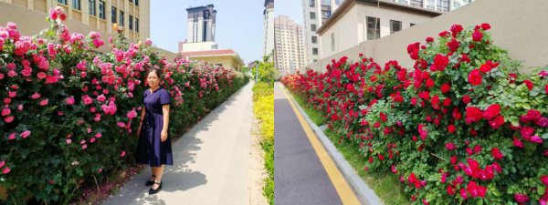 5.22 物業(yè)服務(wù) 合1.png 5.22 物業(yè)服務(wù) 合1.png